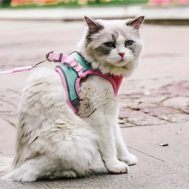 Harnais et laisse pour chat pour la marche anti-fugue - Harnais réglable en  maille souple réfléchissante pour l'extérieur, ajustement confortable