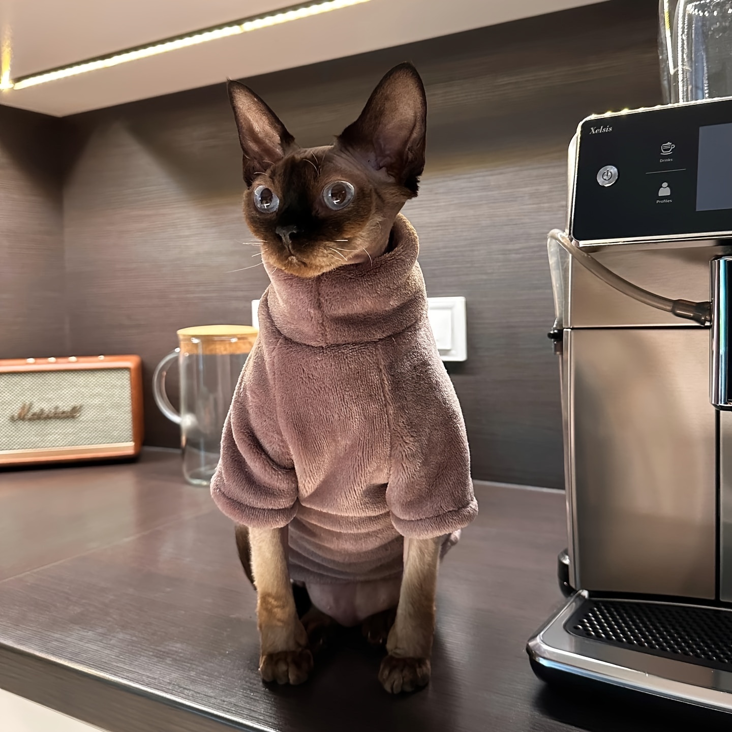 Hairless Cat Sweater Winter Thickening Warm Cat Comfortable Soft Clothes