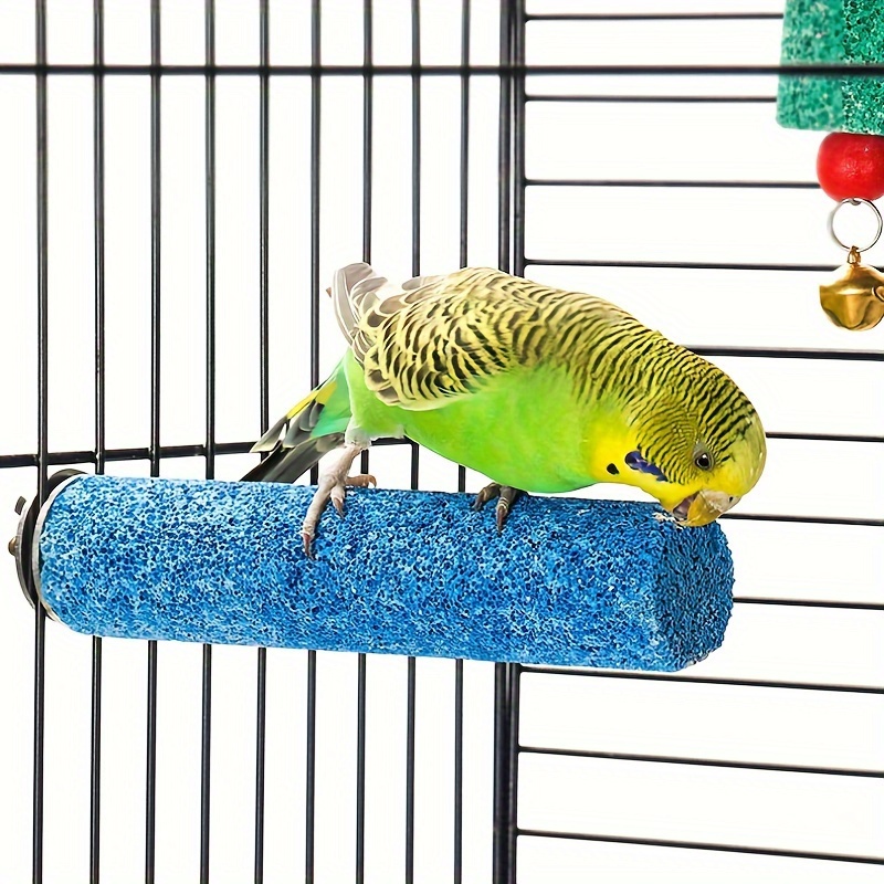 Parakeet store cage accessories