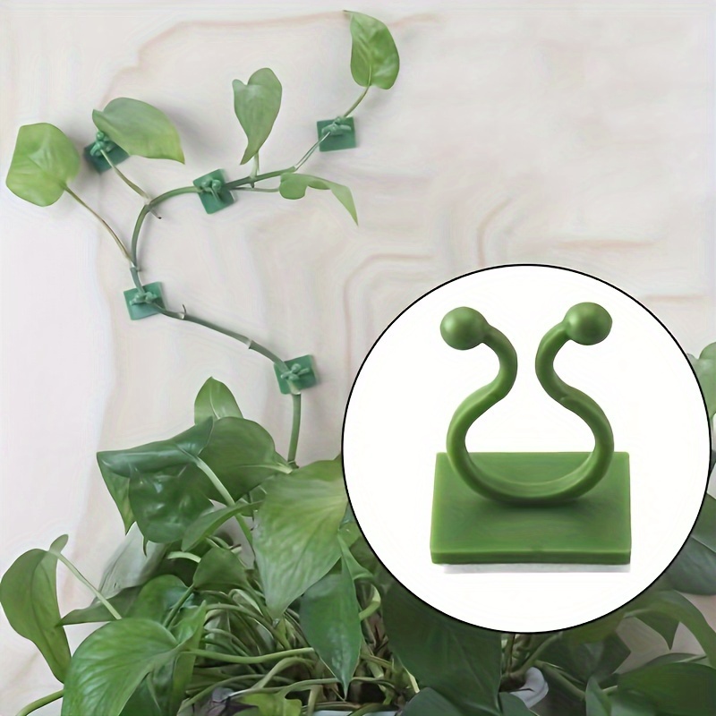 Adhesive Plant Hooks - Temu