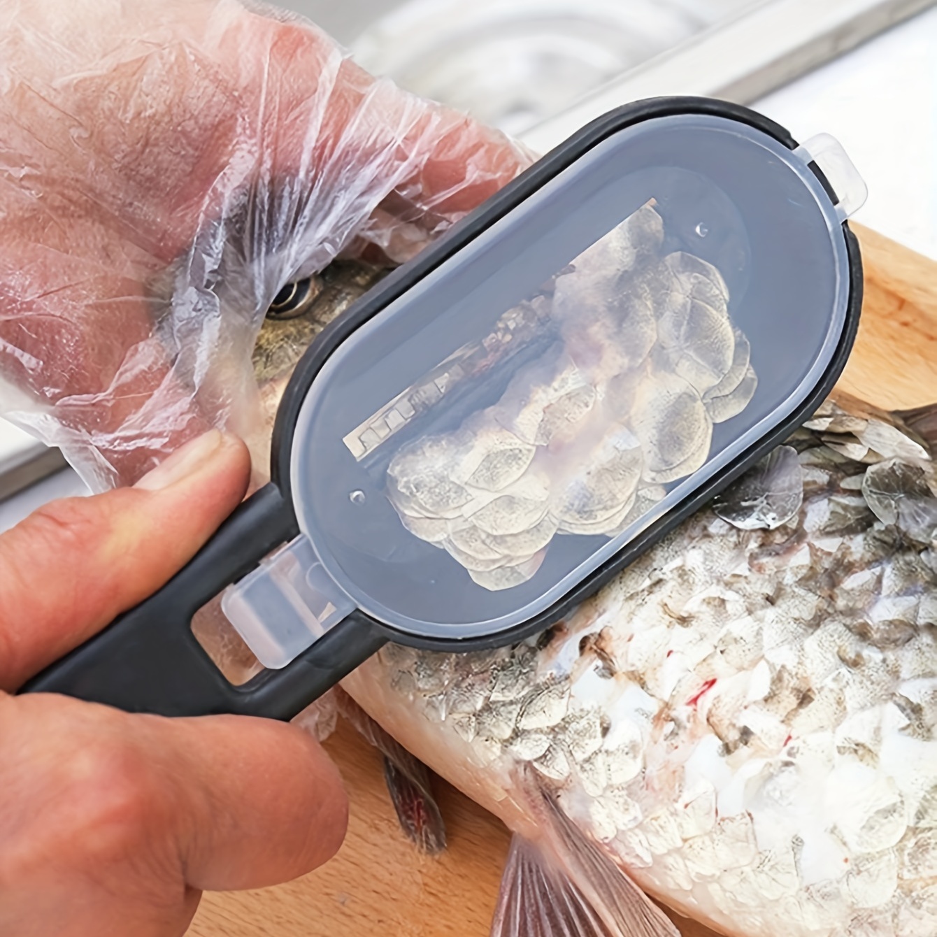 Upgrade Your Kitchen with this 1pc Stainless Steel Fish Scaler - Perfect  for Cleaning Fish & Scrapping Scale!