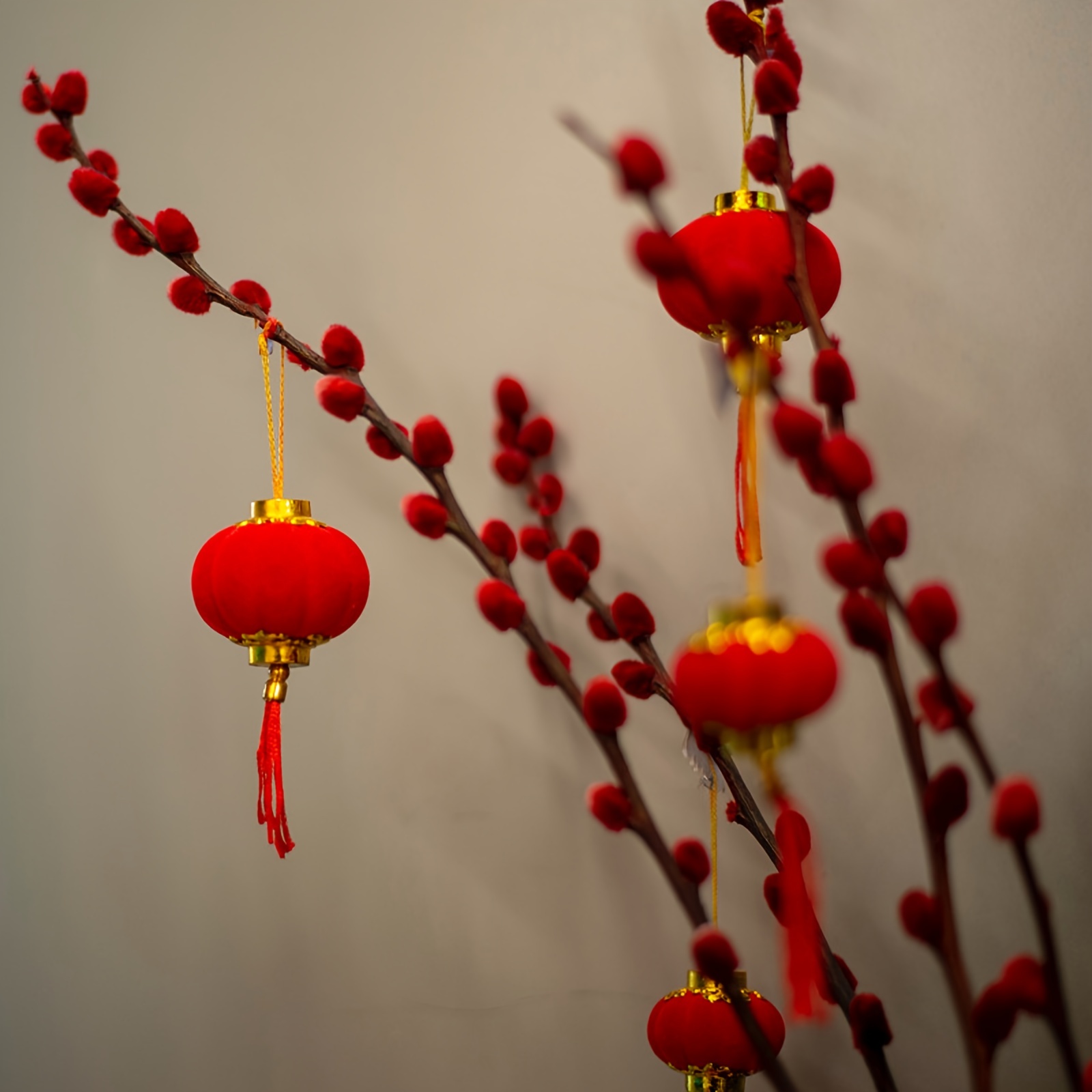  30PCS Chinese New Year Decoration, 2023 Chinese New