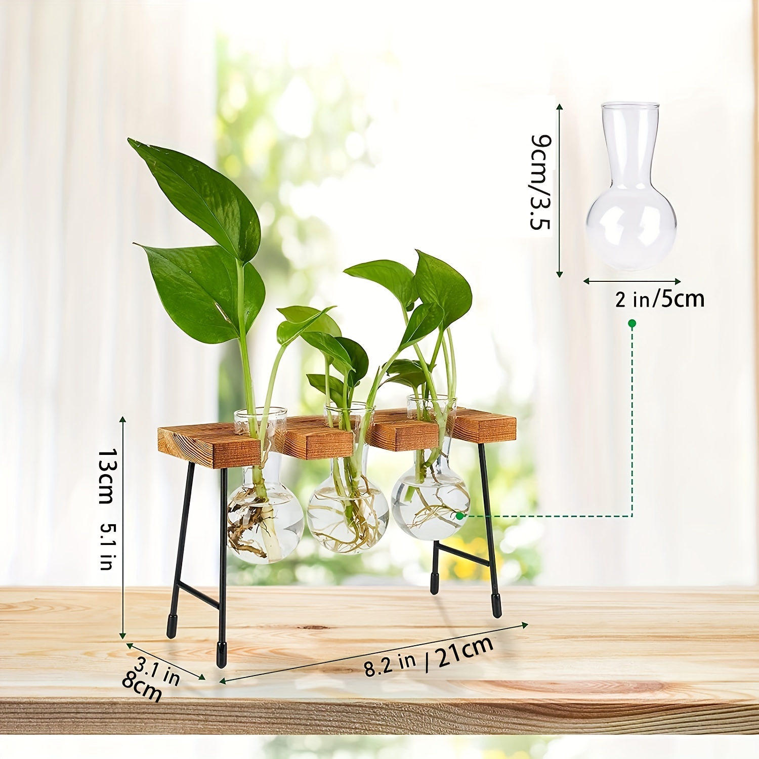 Terrarium végétal avec support en bois, support de stations de  multiplication végétale, pour plantes hydroponiques Accesso