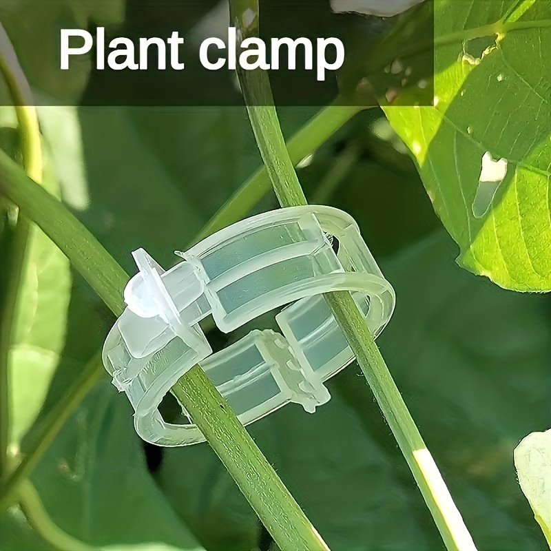 

100pcs/bag, Tomato Grapevine Fixing Clip Greenhouse Vine Plant Supporting Clip Vegetable Garden Decoration Gardening Green Plastic Clip