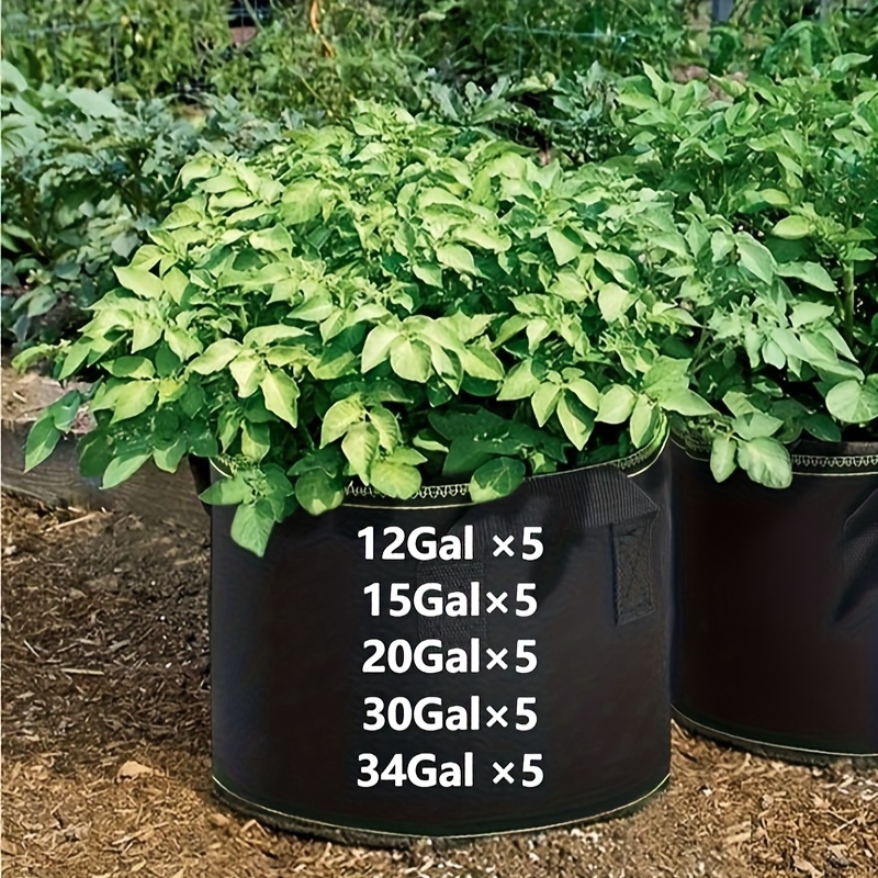 Garnen 20 Gallon Garden Grow Bag with Handles - 5 Pack - Black/Green