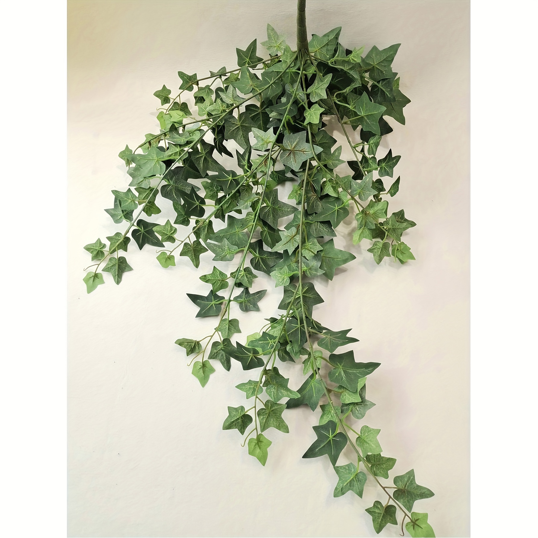 heckenelement efeu Hecke am laufenden Meter® Efeu