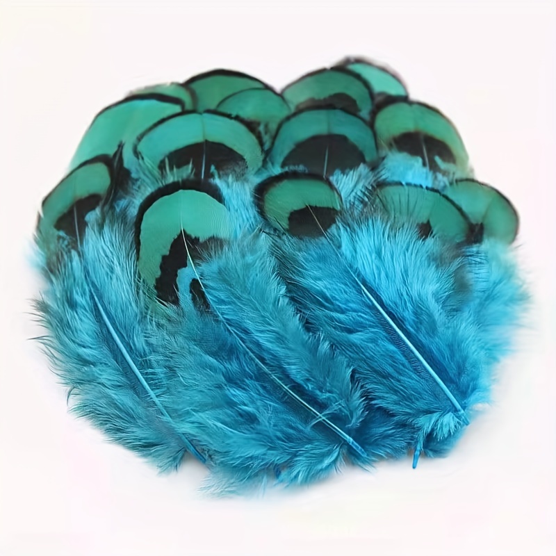 Natural Colored Pheasant Feathers Crafts Diy Handwork Plume - Temu