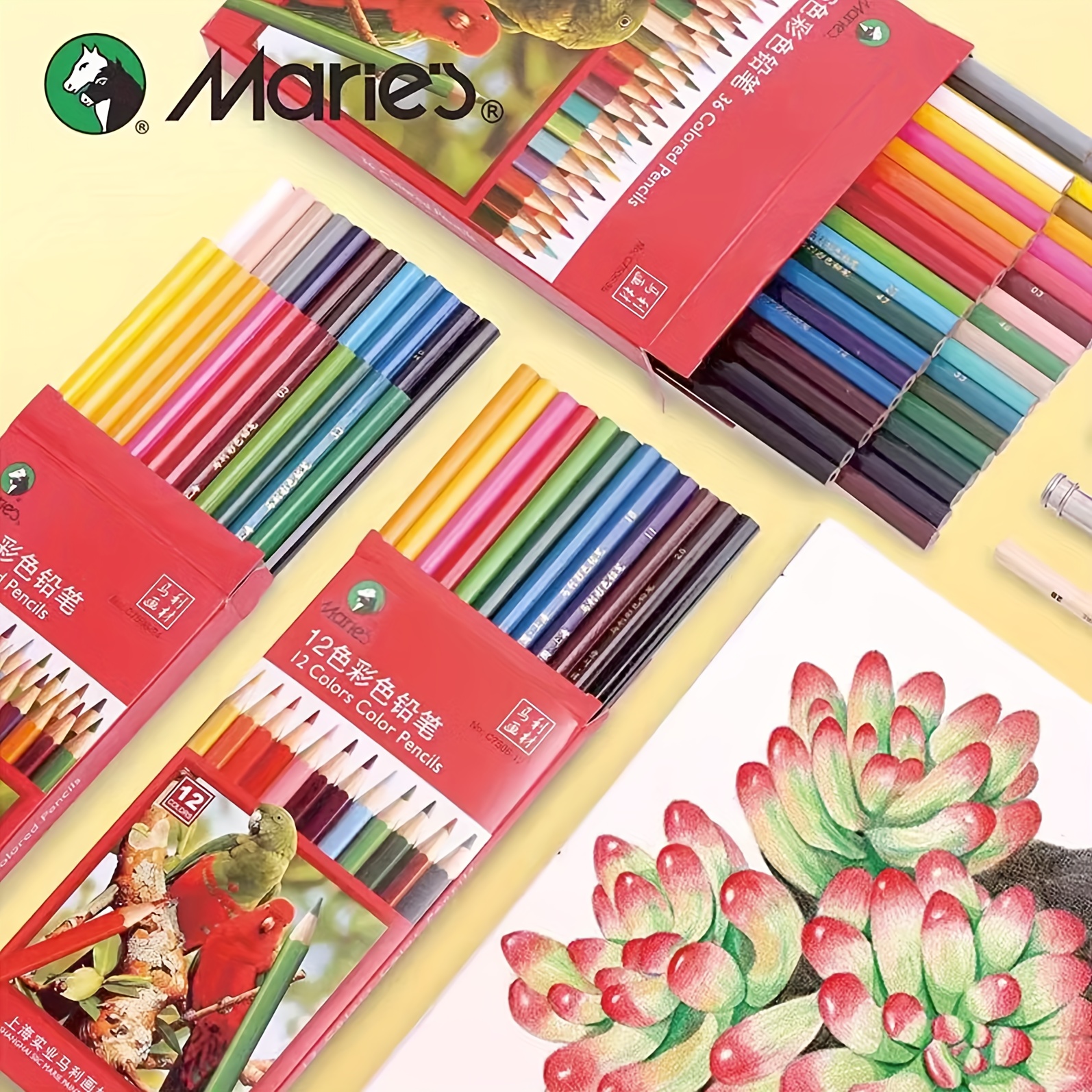 36-Color Watercolor Pencils, Water Color Pencils Set, Artist