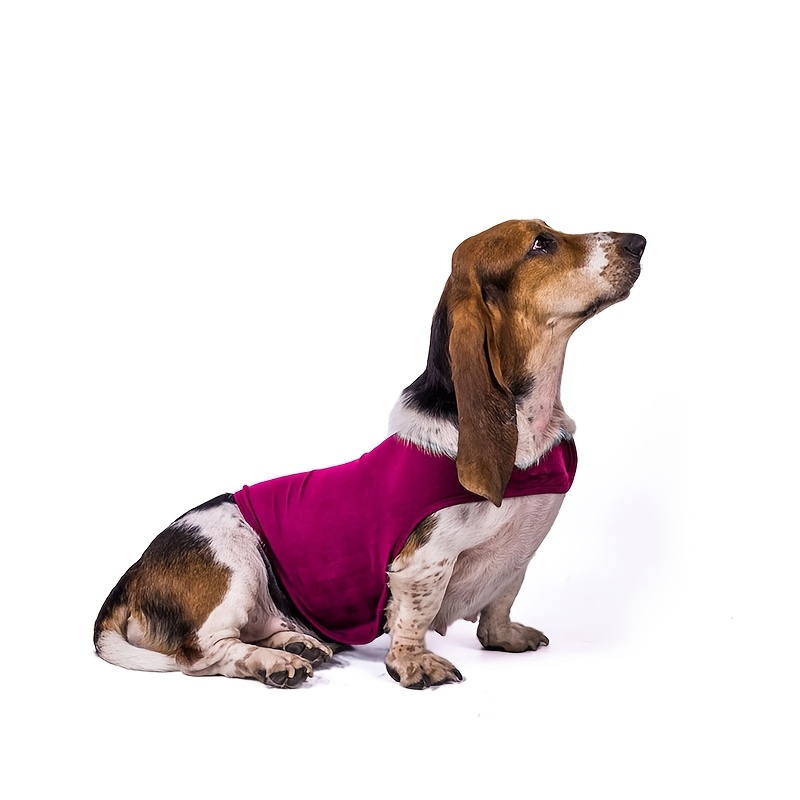 Gilet anti outlet stress pour chien