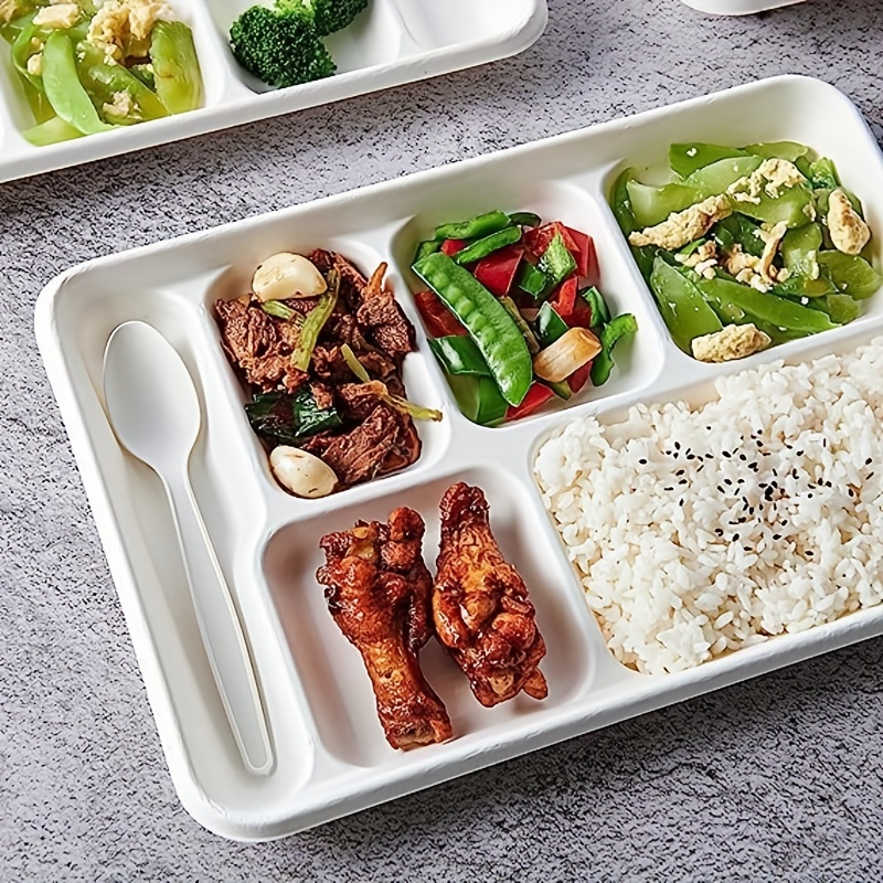 Outside the Box Papers Compostable Paper 5 Compartment School Lunch Tray-  Eco Friendly Bagasse Plates and Paper Drinking Straws - 50 Each
