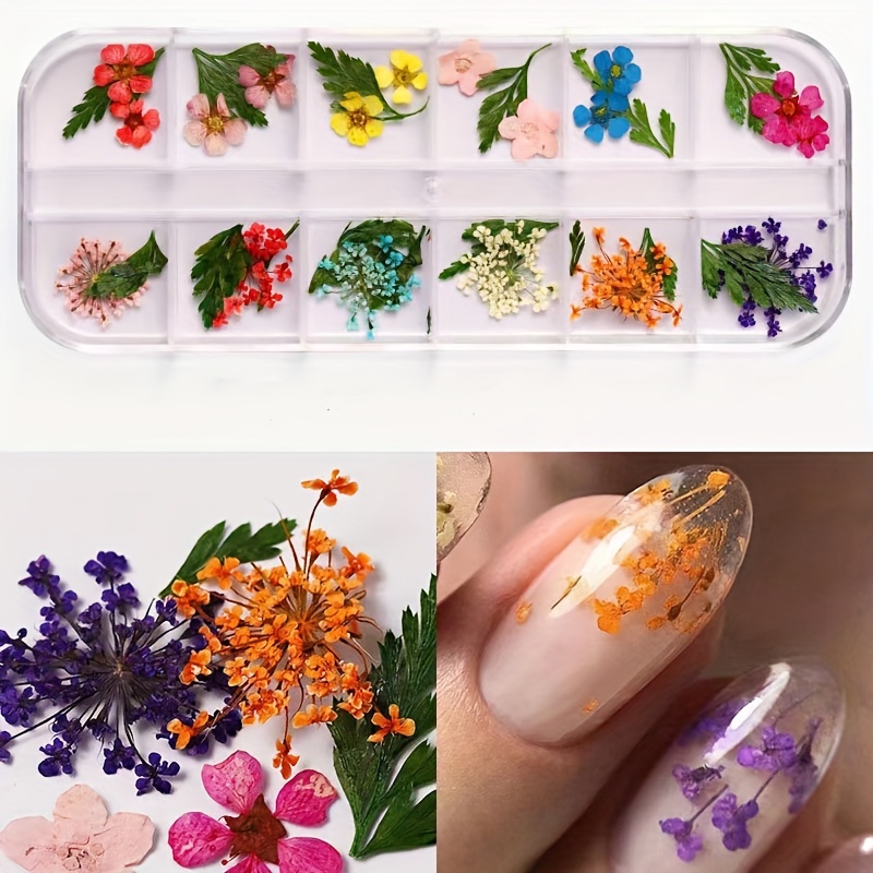 Dried Flowers For Nails And Resin Jewellery 12 Pcs 3d Nail Art