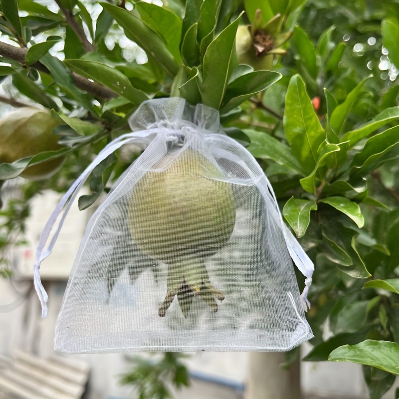 Freshly Picked Seoul Backpack Diaper Bag - Fig : Target
