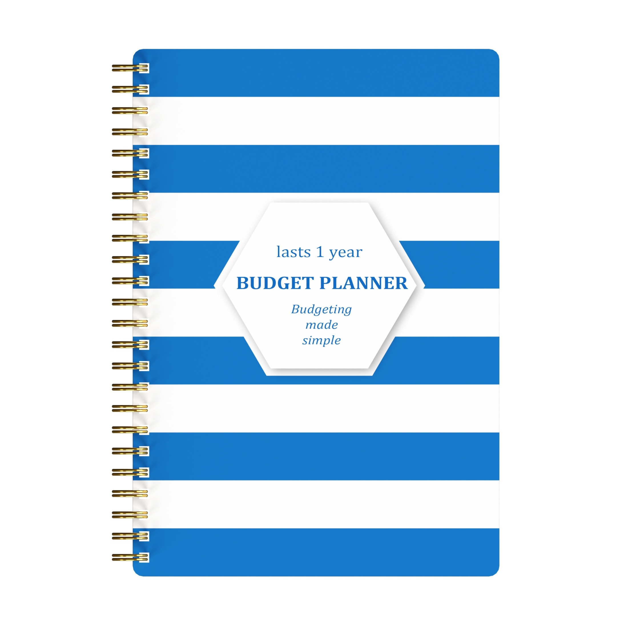 1 Cahier De Planificateur De Budget - Organisateur De Finances