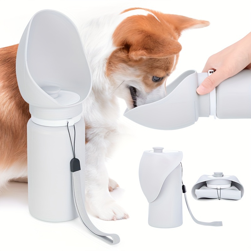 Dog deals water dispensers