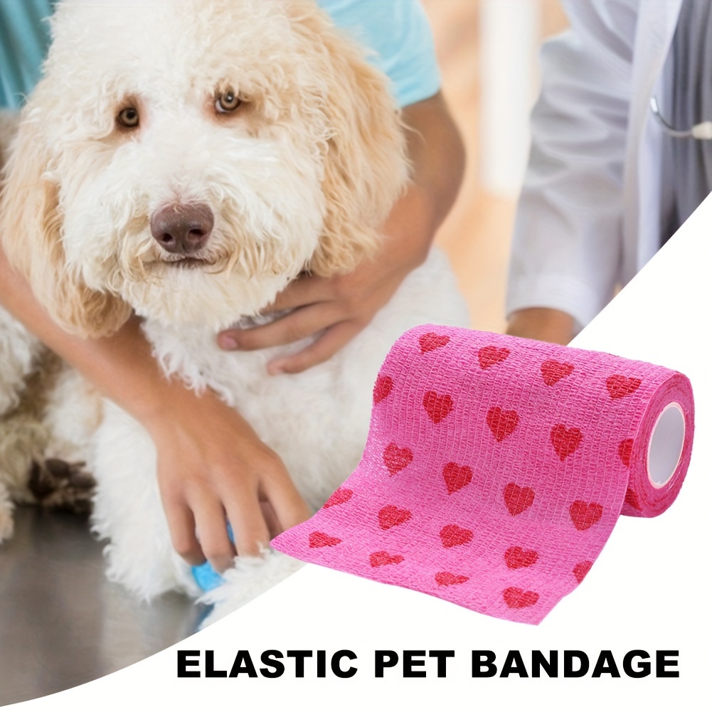 Dog bandages 2024 for body