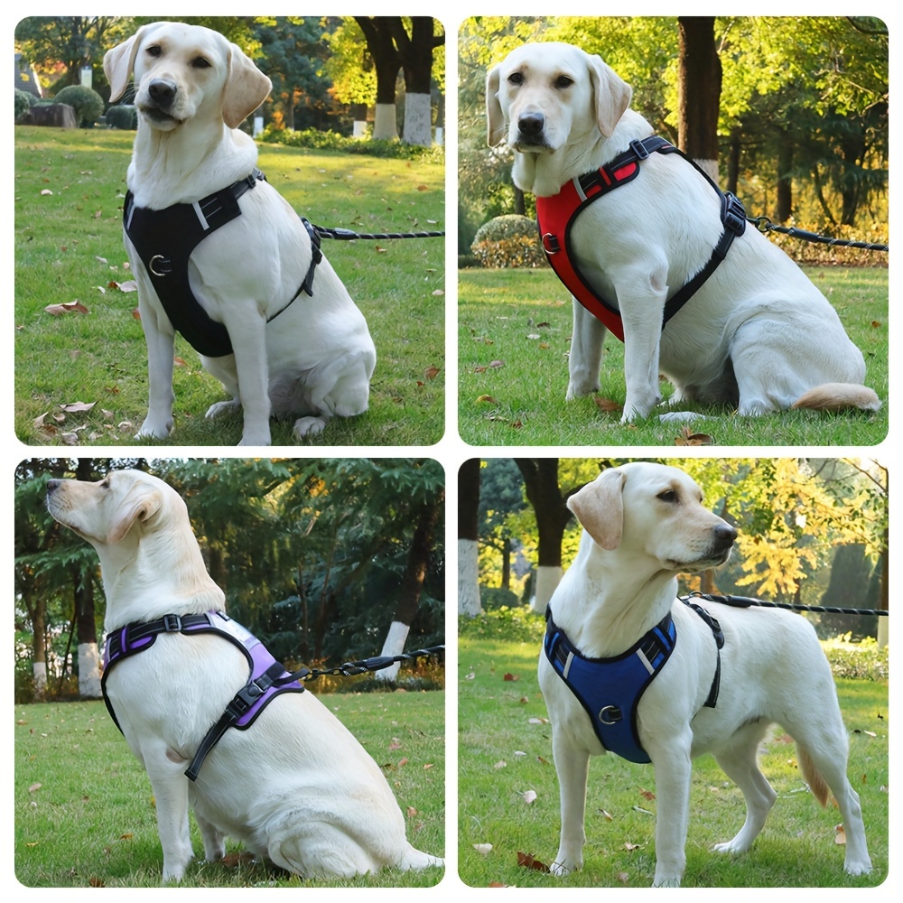 Dog Harness No Pull Dog Vest Harness Handle Temu Canada