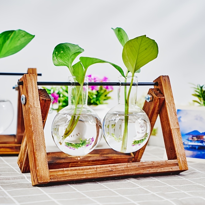  Plant Propagation Pot Small Glass Container Five Bottles With  Metal Stand Indoor Decor Hydroponic Plant Propagation Station Tabletop  Plant Home Air Plant Stand Windowsill Plant Shelf Office Decor : Patio, Lawn