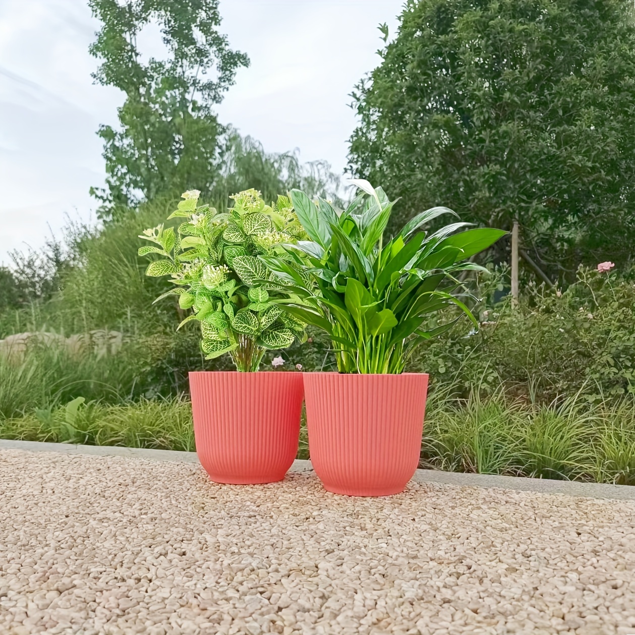 modern outdoor plant pots