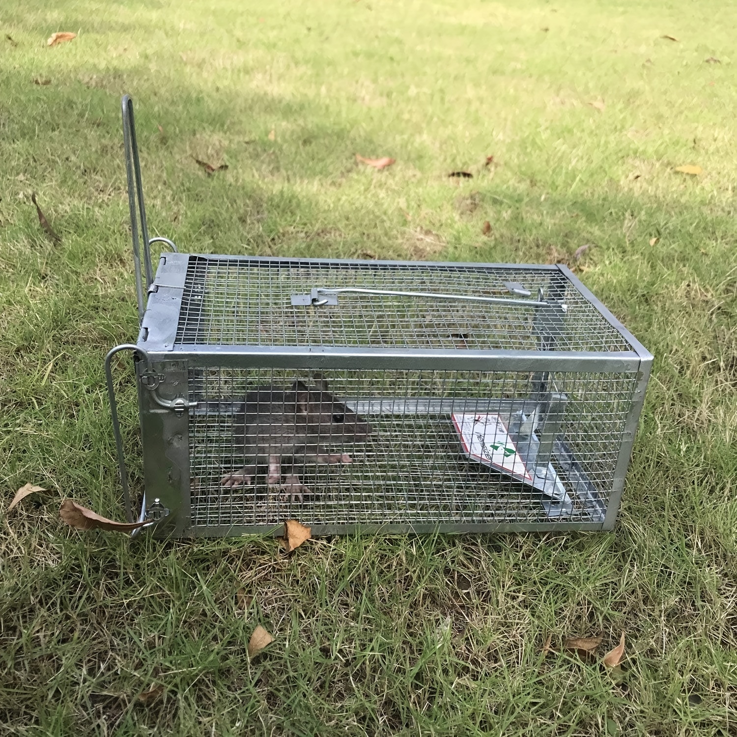 Humane Rat Trap Chipmunk Rodent Trap Mouse Trap Squirrel Trap Small Live  Animal Trap Mouse Voles Hamsters Live Cage Rat Mouse Cage Trap for Mice  Easy