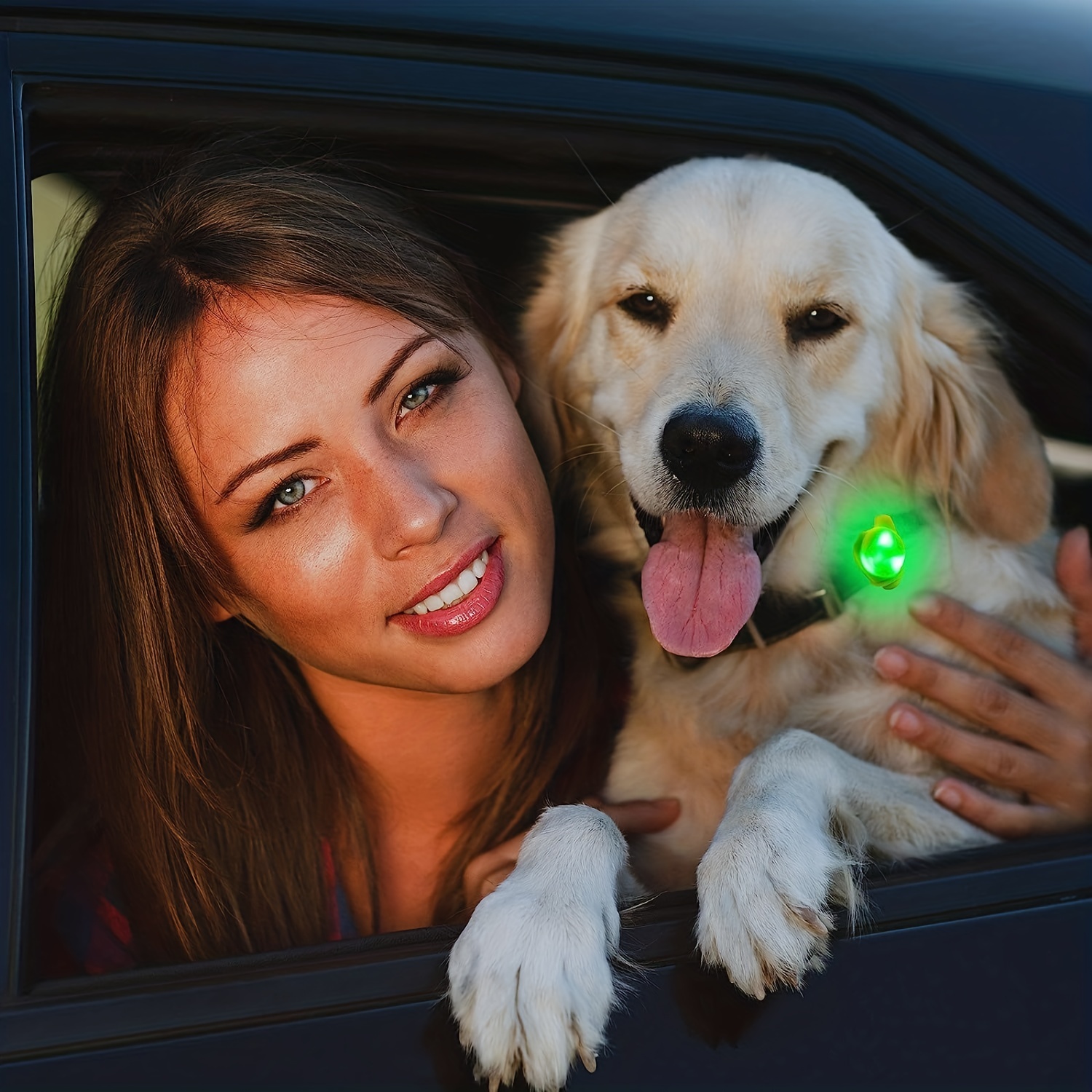 LED-Licht Knochenform Hund Blinker Sicherheit Anhänger Halsband Geschenk  Weiß