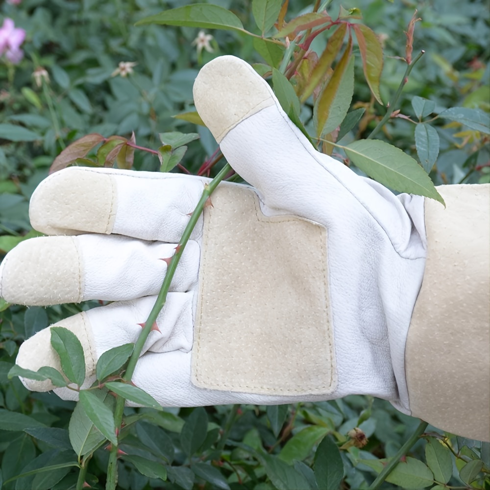  DLY Guantes de jardinería para mujer – Guantes largos a prueba  de espinas para poda de rosas, guantes de jardín de cuero de vaca para  regalos de jardinería : Patio, Césped
