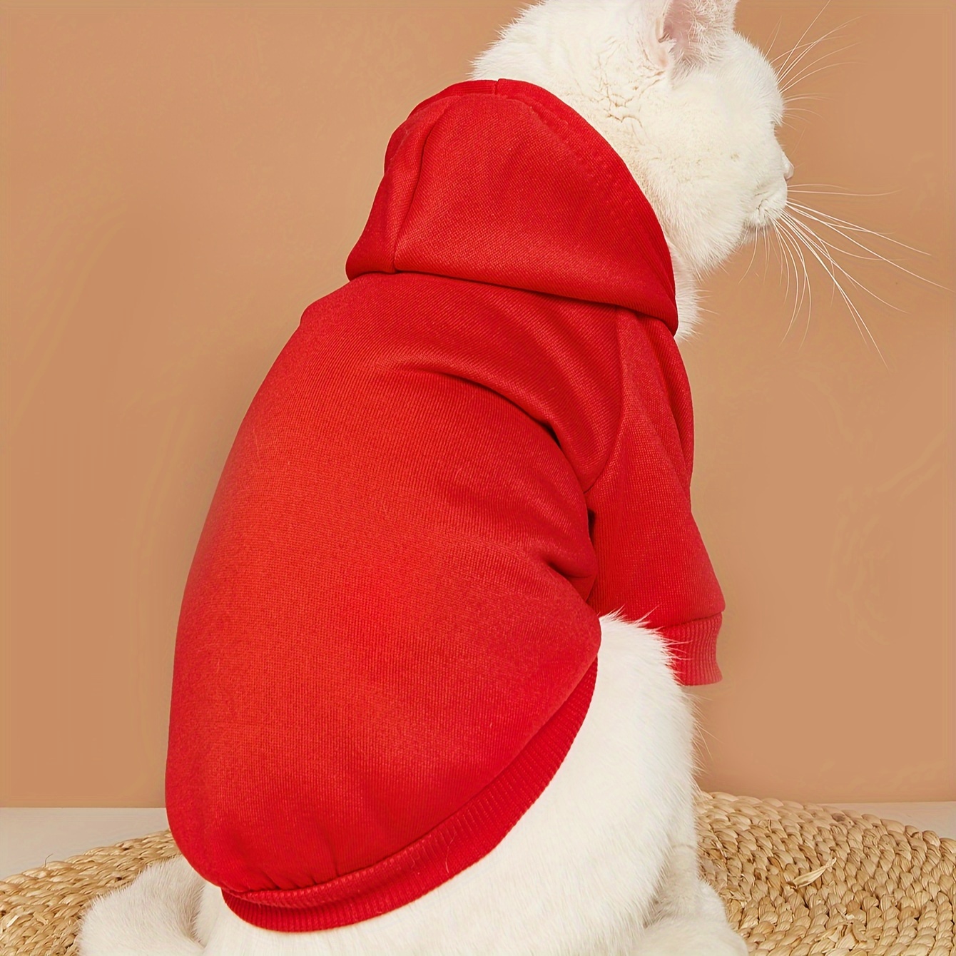 Dog Hooded Sweatshirt for Cold Weather