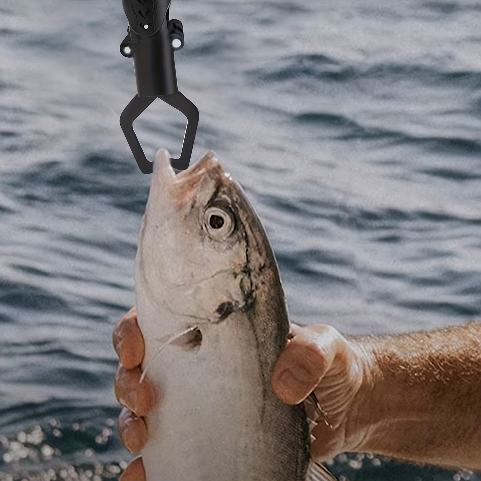 Buy Fish Grip, Fish Lip Gripper Fish Holder Stainless Steel Fish Gripper  Grip and Hold Fish with Lanyard for Outdoor Fishing and Angling Online at  desertcartINDIA