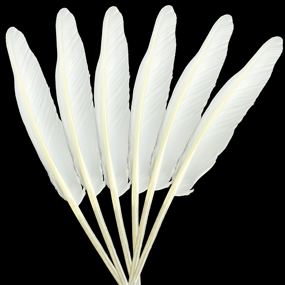 100 plumas blancas con 6 a 8 pulgadas de largo, hermosa pluma de ganso  natural bilateral, para decoración de vestidos de boda y disfraces de  fiesta