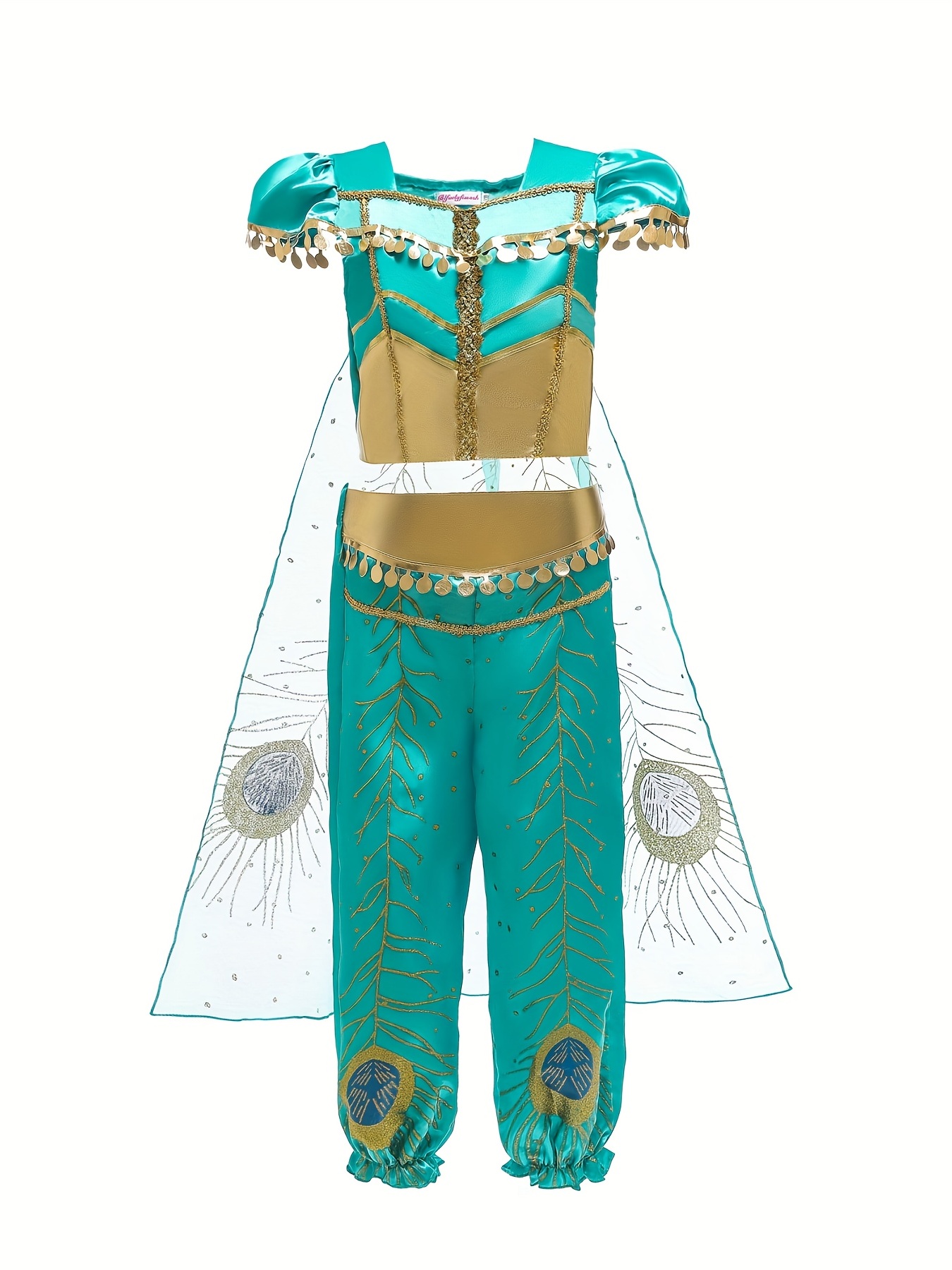 Aladdin Dress Up Costume