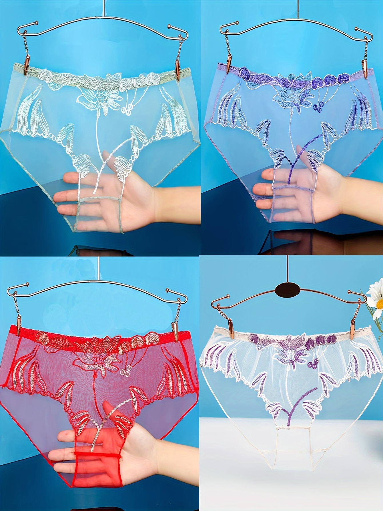 Women Sexy Panties Sheer Briefs Low Rise Elastic Underwear See