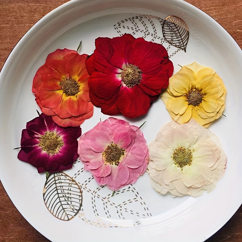 25pcs Dried Pressed Flowers For Resin Pressed Flowers Dry Le