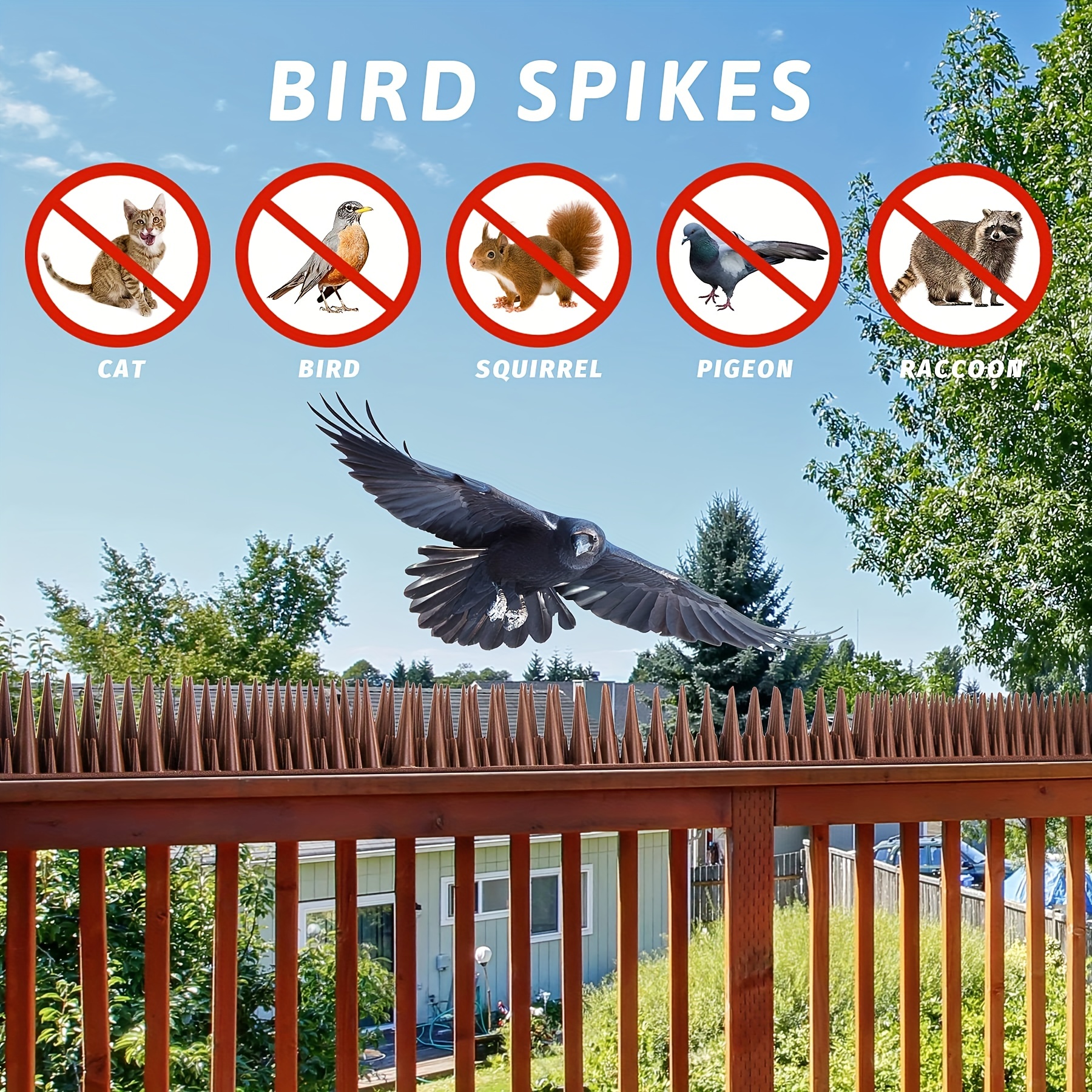 Plastic Bird Spikes, Keep Birds Off Any Surface