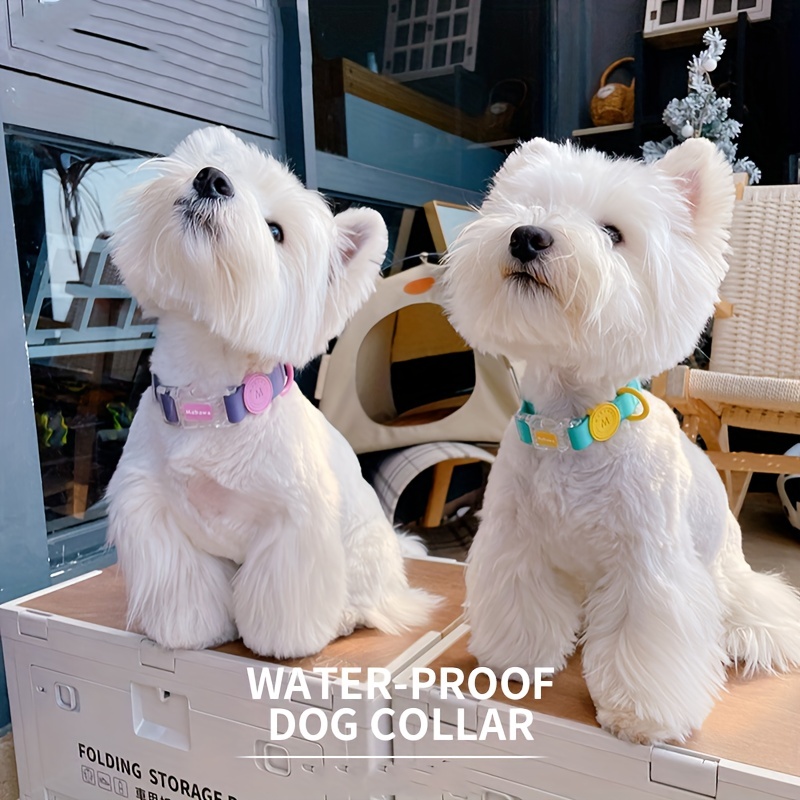 Dog Collar Menswear Inspired Dog Collars Male Boy Dog Collar 