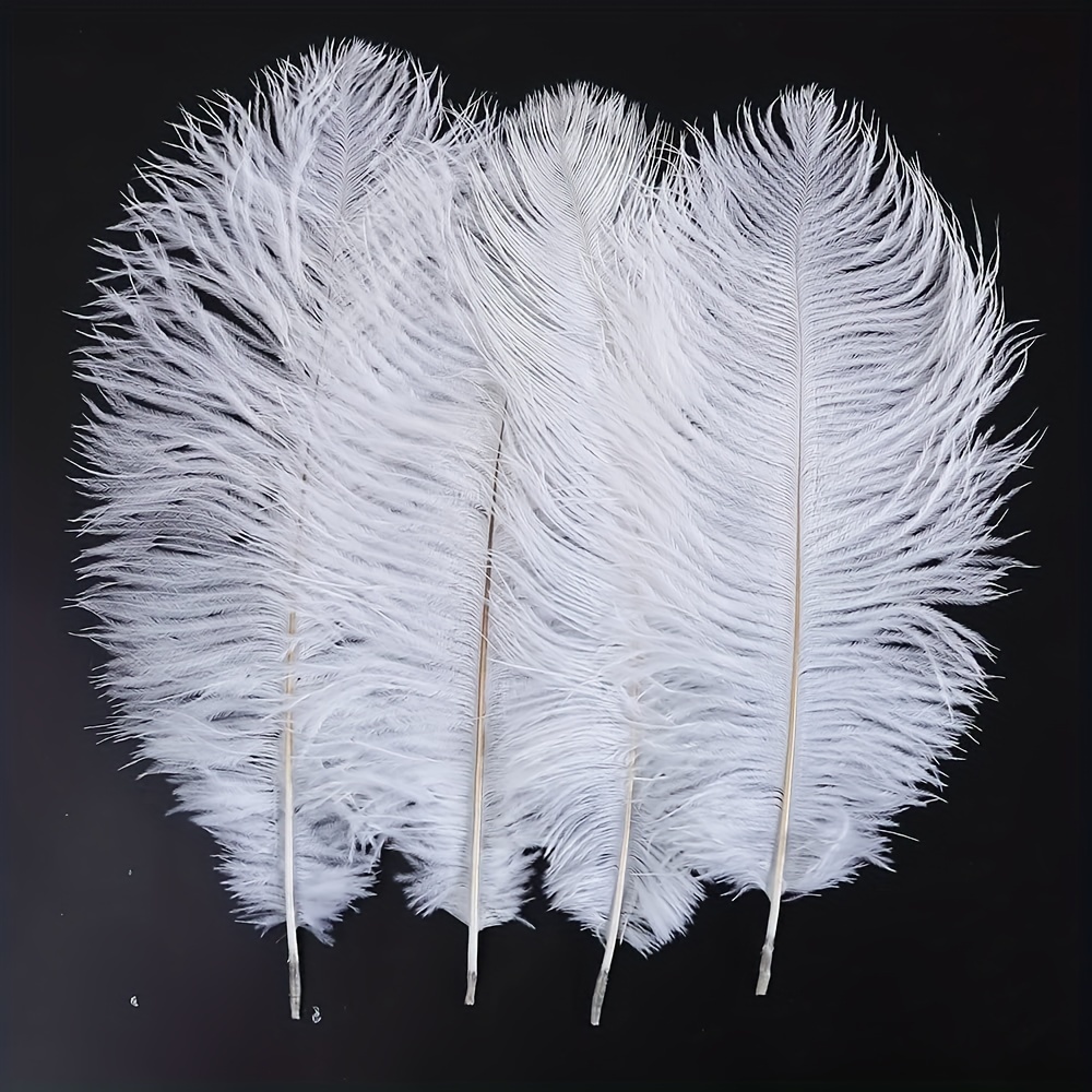Natural Real Ostrich Feathers Crafts Wedding Party Plume - Temu