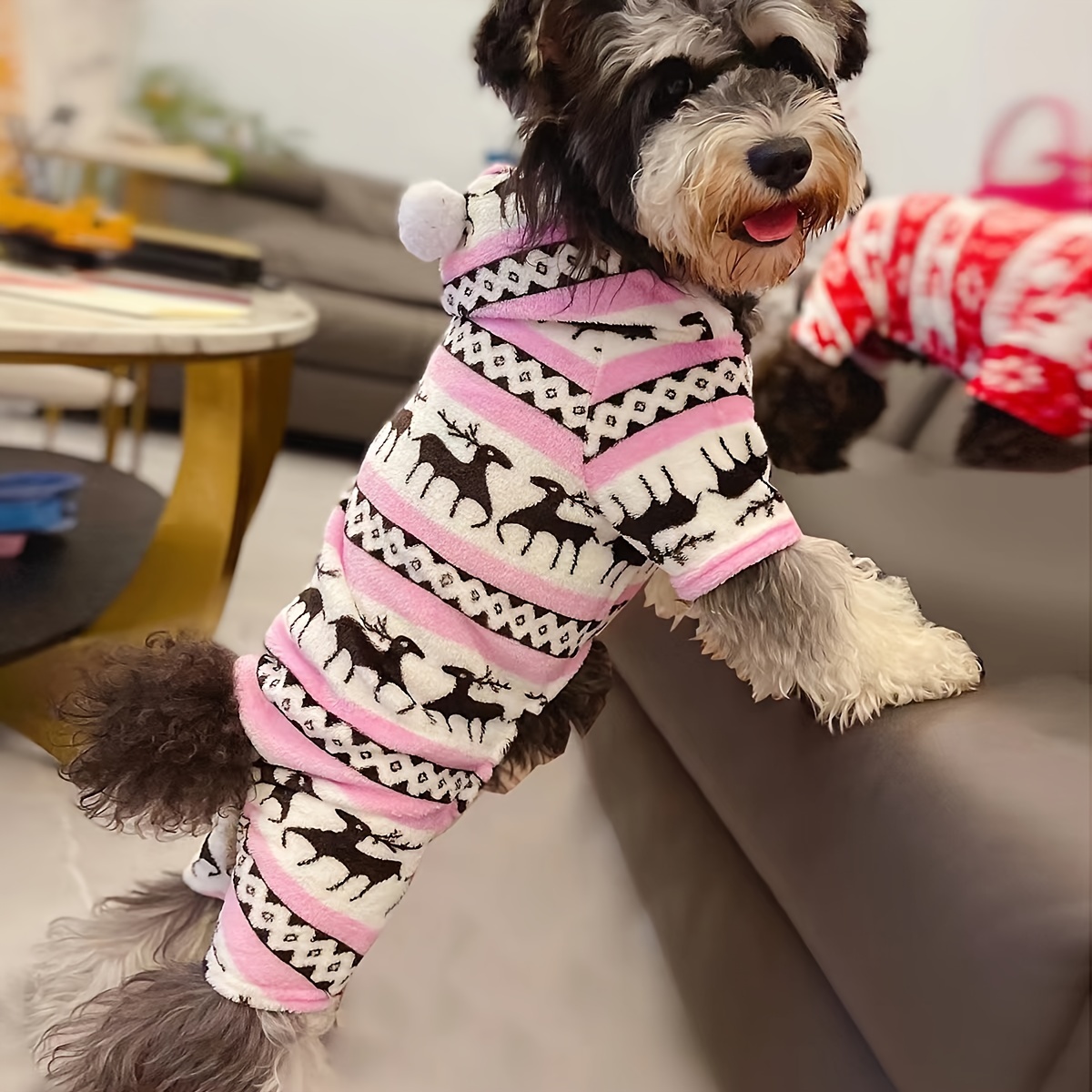 dog bodysuit for winter