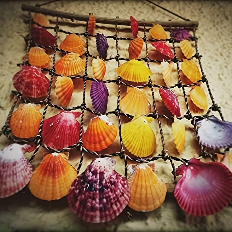 Random Sea Shells Mixed Beach Seashells 9 Kinds 1.2 3.5 - Temu