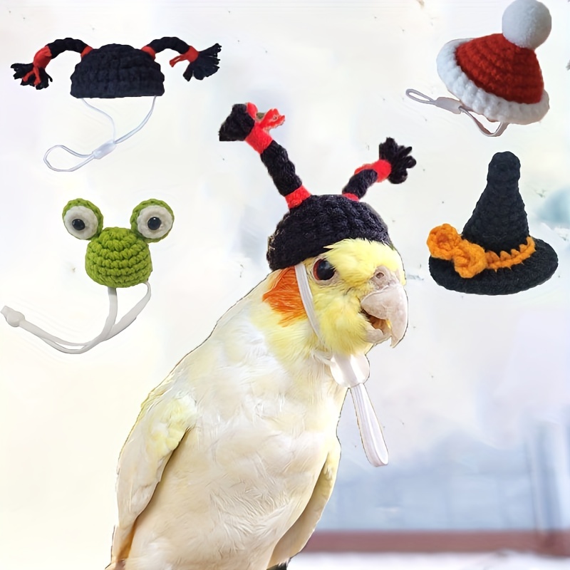 Crocheted Beanies for Dogs-cockatiel Beanie Hat 