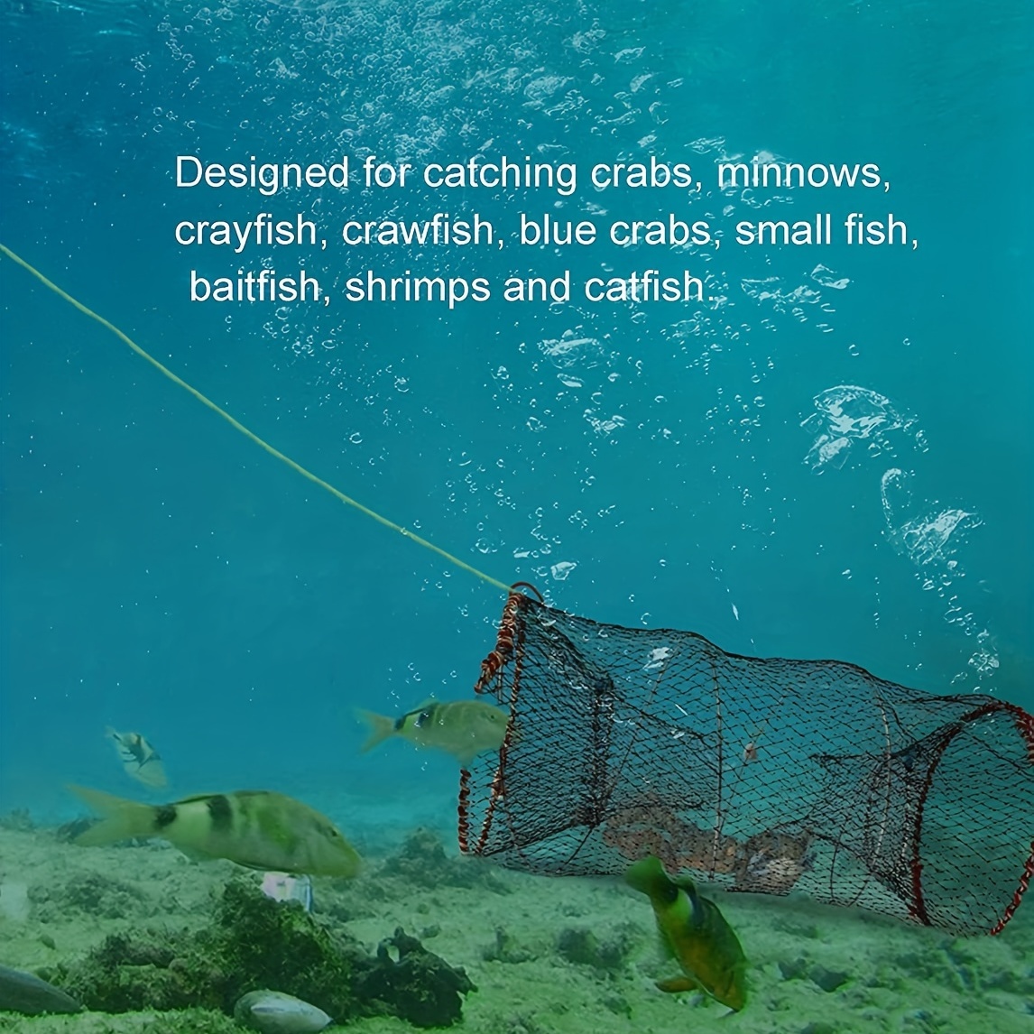 Durable Crayfish Trap Cage Heavy Steel Fishing Mesh Fishing - Temu Kuwait