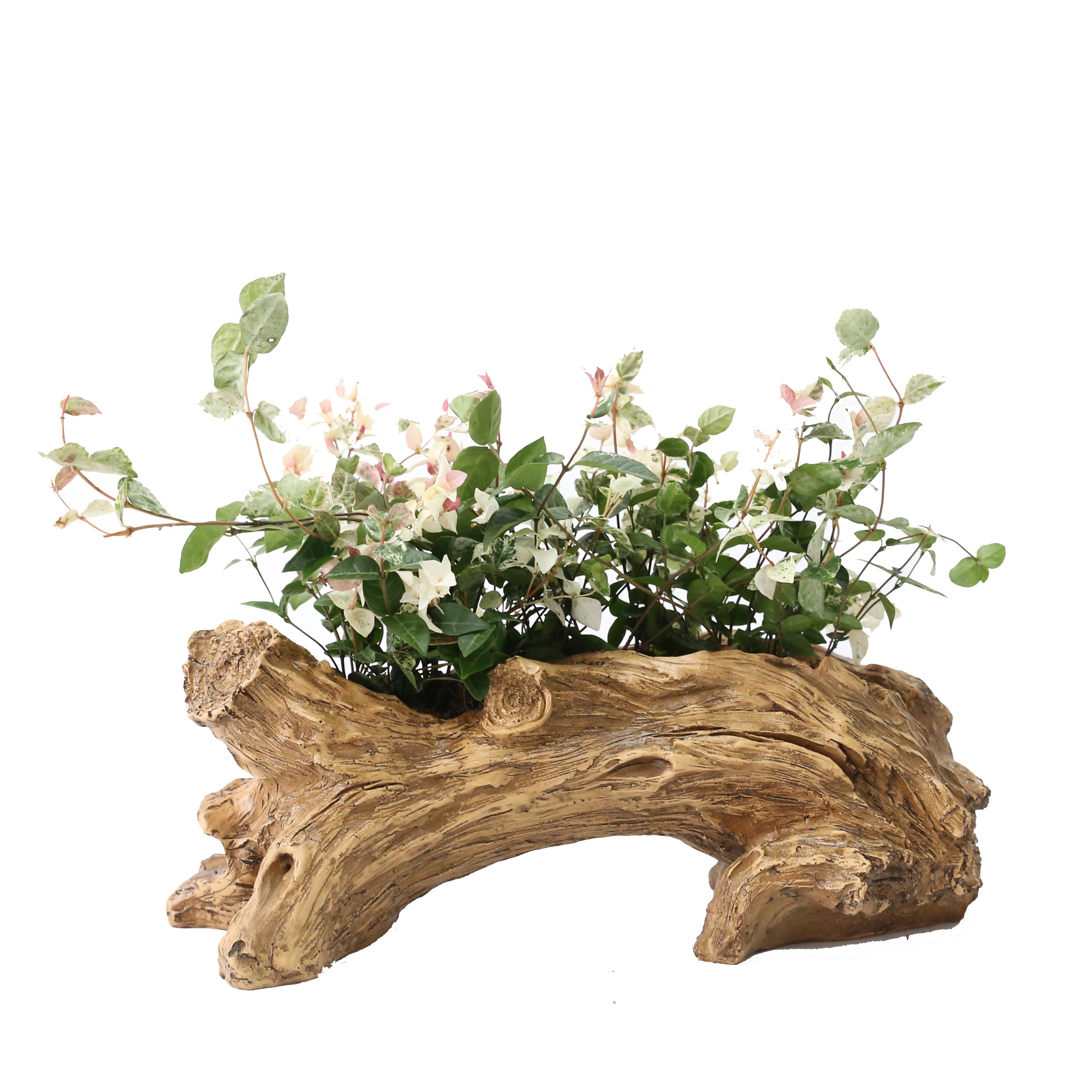 Hintyne Jardinière En Bois Flotté Jardinière Rustique