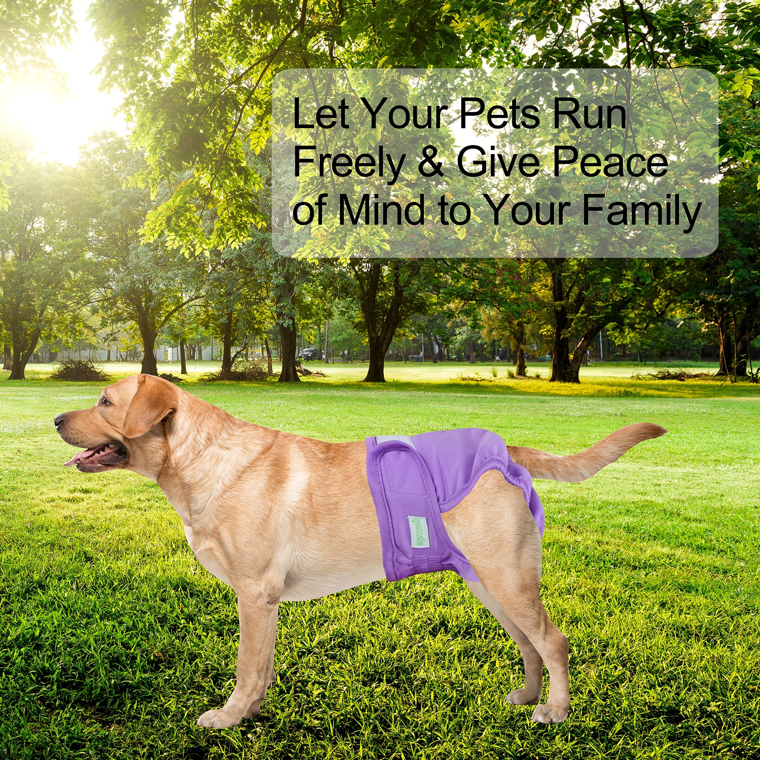 Reusable best sale dog diapers