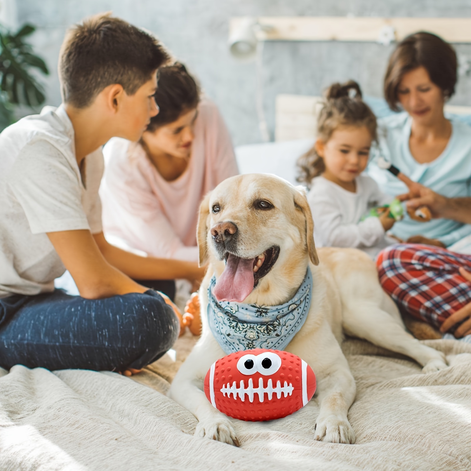 Interactive Dog Ball Toy for Training - Squeaky, Comfortable, and