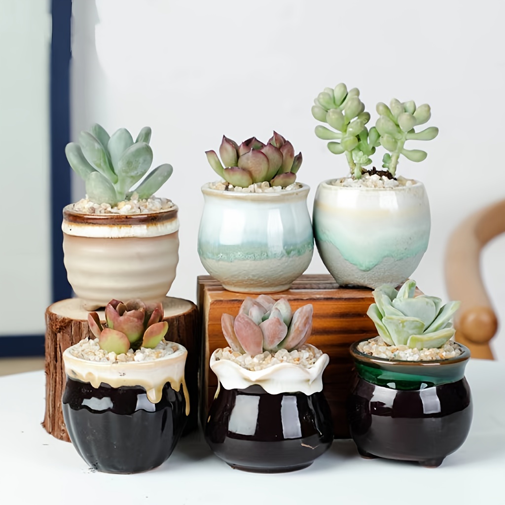 Ceramic Succulent Planter Pot With Drainage Planting Pot - Temu