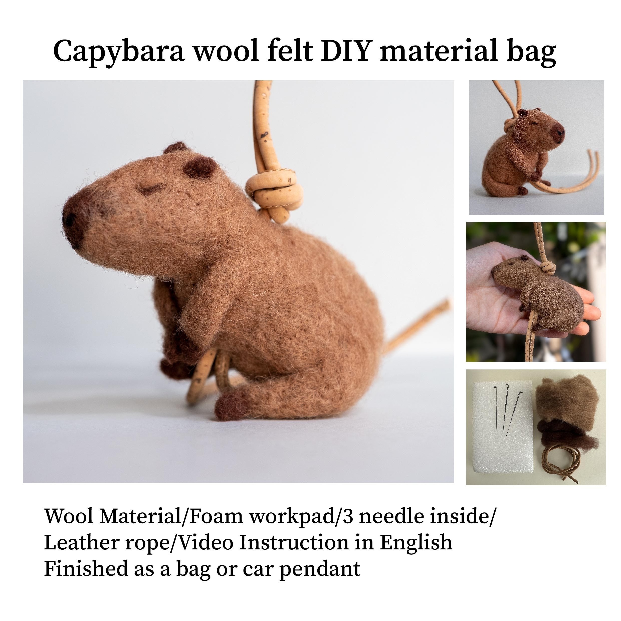 1pc DIY Capybara Anhänger, Wollfilz Materialpaket, Süßes Capybara Tier,  Nadelfilz Anhänger, Mit PU-Lederseil, Kreatives Geburtstagsgeschenk,  Inklusive