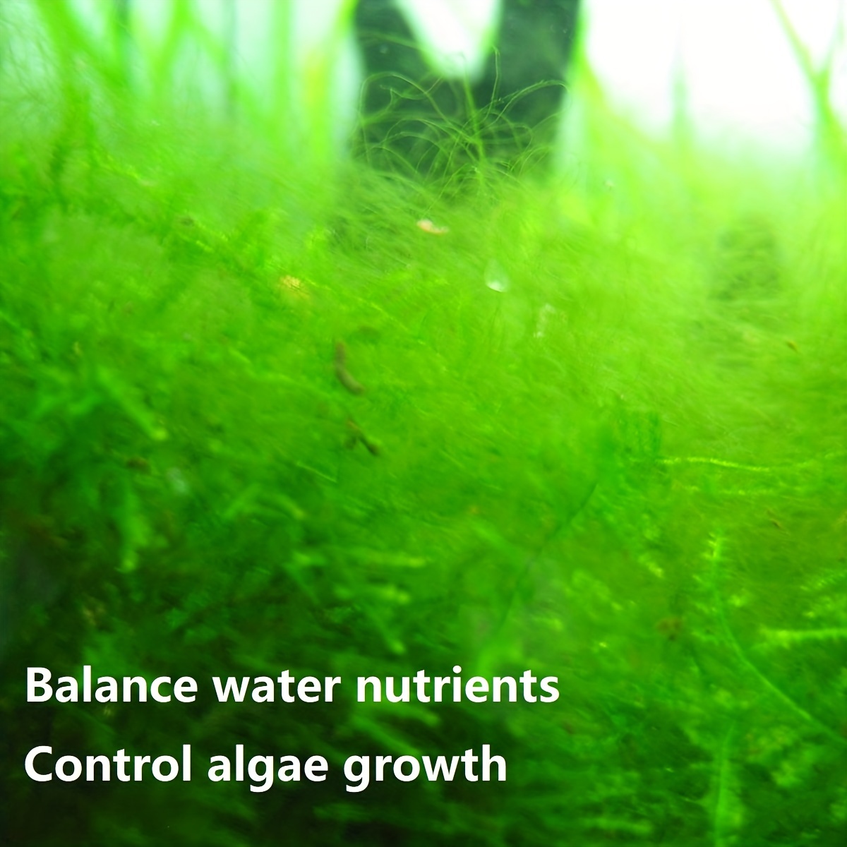 Filtration Resin for Clear Aquariums