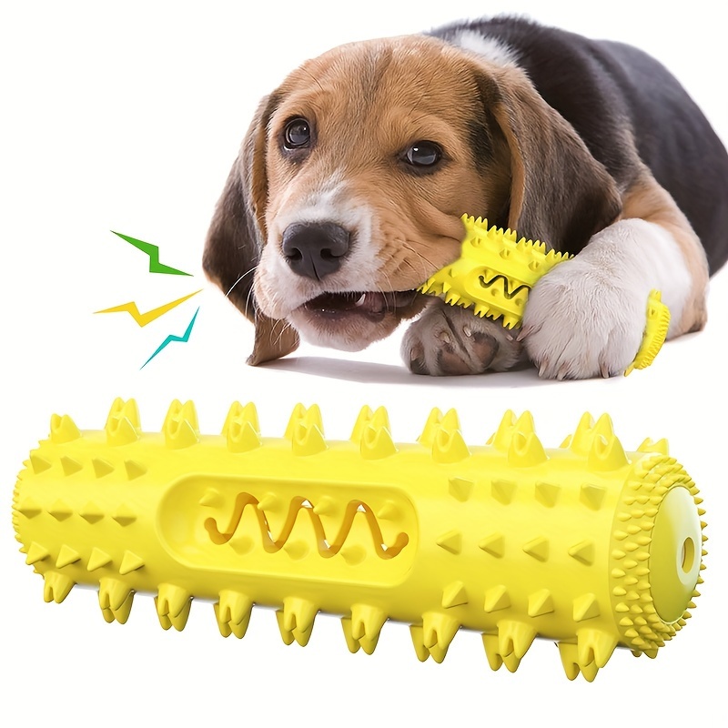 Chew toothbrush 2024 for dogs