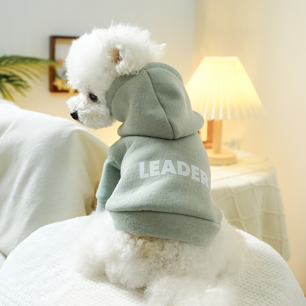 

1pc Soft Pet Hooded Sweatshirt, Small Dog Hoodie For Spring And Autumn Dog Apparel