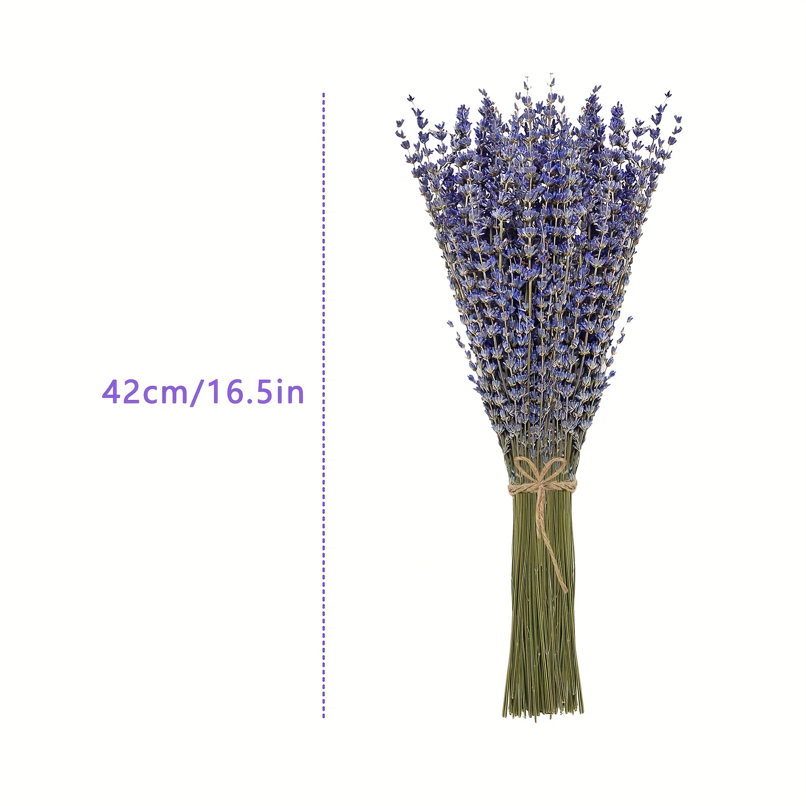  WGIA Paquetes de lavanda seca natural, ramo de flores  decorativas de terciopelo real recién cosechadas, ramo de flores  decorativas para boda, bricolaje, fiesta en casa y regalos del día de San