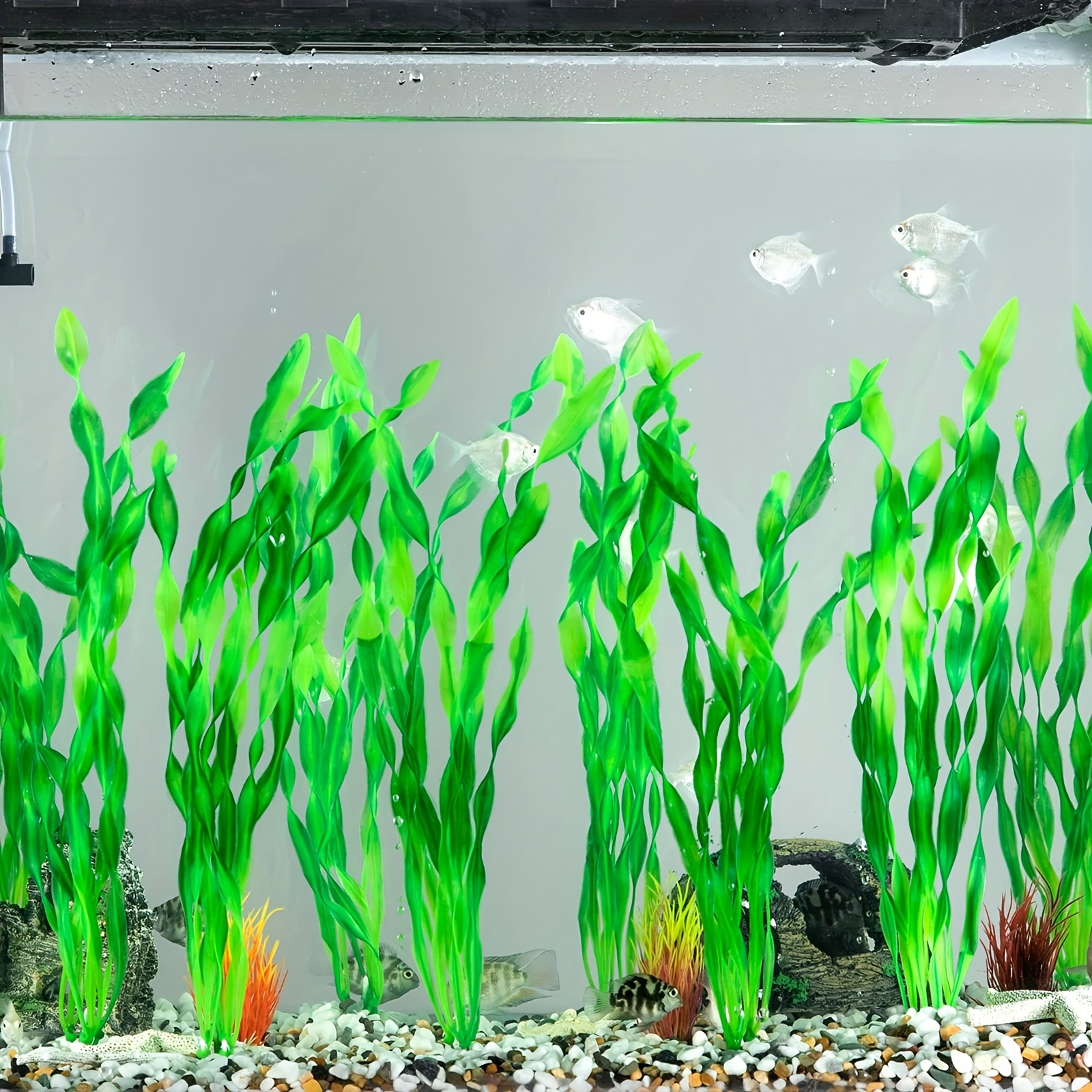 10 Pcs Artificial Seaweed Water Plants For Aquarium Plastic Fish Tank Plant  Decorations - Pet Supplies - Temu