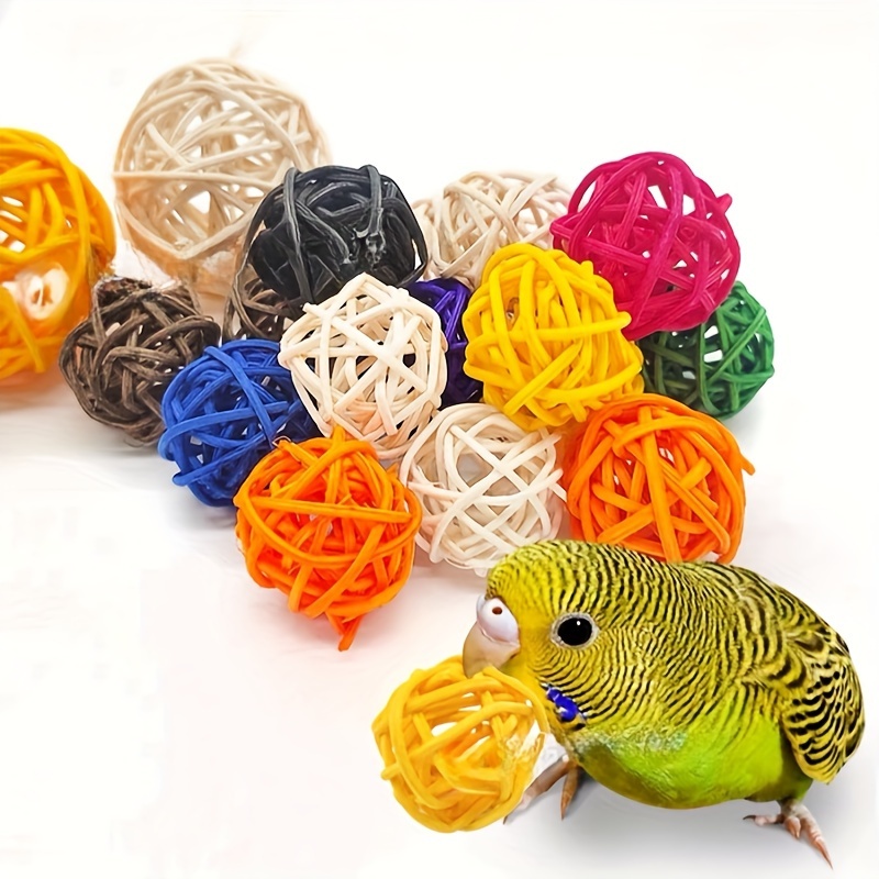 Toys for budgies outlet diy