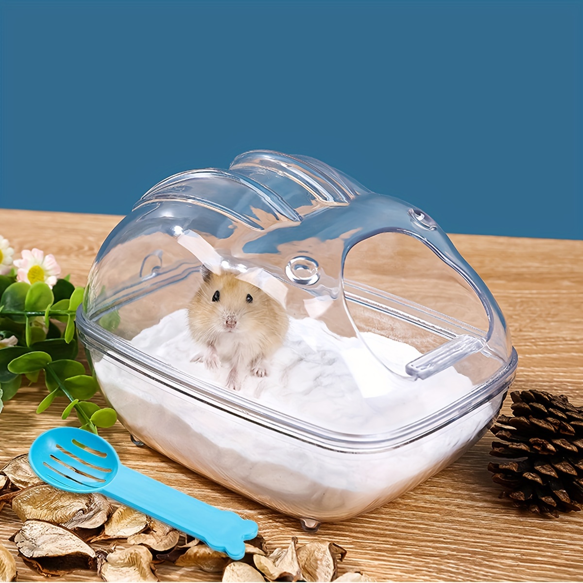 Hamsters, Gerbils, Rats and Mice